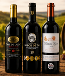 Combo 3 Vinhos Franceses | Cave de Ladac Bordeaux + Château du Bois de Tau + Château Hyot