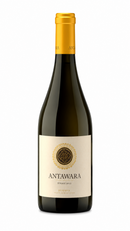 Antawara Reserva • Syrah • D.O. Valle del Maipo, Chile • Safra 2022