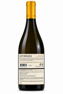 Antawara Reserva • Syrah • D.O. Valle del Maipo, Chile • Safra 2022