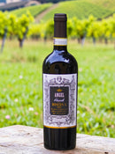 Angel Chianti Riserva DOCG – A Máxima Expressão do Prestígio Toscano