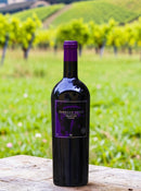 Caballo Loco Grand Cru Curicó 2021 – A Lenda Viva do Terroir Chileno