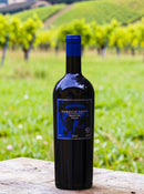 Caballo Loco Grand Cru Apalta 2022 – A Força e a Nobreza de um Terroir Único