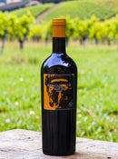 Vinho Caballo Loco Grand Cru Limarí 2021 – A Elegância Mineral do Vale do Norte