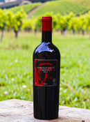 Caballo Loco Grand Cru Maipo 2021 – O Rigor e a Elegância do Berço dos Ícones