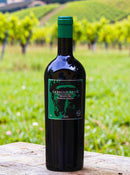 Caballo Loco Grand Cru Sagrada Familia 2021 – A Elegância Atemporal do Vale de Curicó