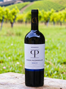 Casas Patronales Reserva Merlot 2023 – A Alma e o Frescor do Vale del Maule