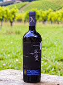 Casas Patronales Maucho Reserva Malbec 2022 – A Elegância Malbec sob o Terroir Chileno