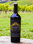 Cautivo Reserva Cabernet Sauvignon 2023 – A Força e a Elegância do Vale do Uco