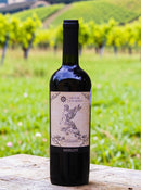 Cruz de Los Mares Merlot – O Equilíbrio e a Vivacidade do Valle Centra