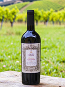 Angel Toscana IGT Sangiovese – A Alma da Toscana em sua Taça