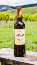 Lago Cerqueira Douro DOC 2021 - Tinto (Blend Português)