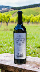 Gran Enemigo Chacayes Single Vineyard 2020