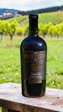 Festivo Castelão 2022