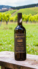 Settecieli Primitivo Puglia IGT