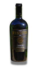 Festivo Castelão 2022