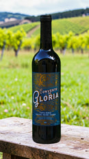 Convento da Glória Tinta Roriz 2021