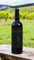 Sottano Reserva de Familia Malbec 2022