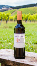 Spencer Bay Pinotage • África do Sul • Safra 2023