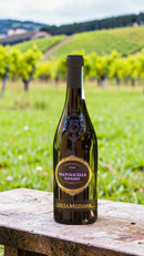 Costa Mediana Valpolicella Ripasso DOC 2020