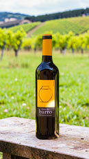 Tinto do Barro • Vinho Regional Alentejano • Portugal