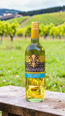 Magnifico • Pinot Grigio D.O.C. • Delle Venezie • Itália