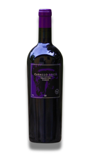 Caballo Loco Grand Cru Curicó 2021 – A Lenda Viva do Terroir Chileno