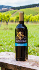 Magnifico • Primitivo Tarantino I.G.T. • Itália