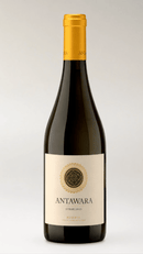 Antawara Reserva • Syrah • D.O. Valle del Maipo, Chile • Safra 2022